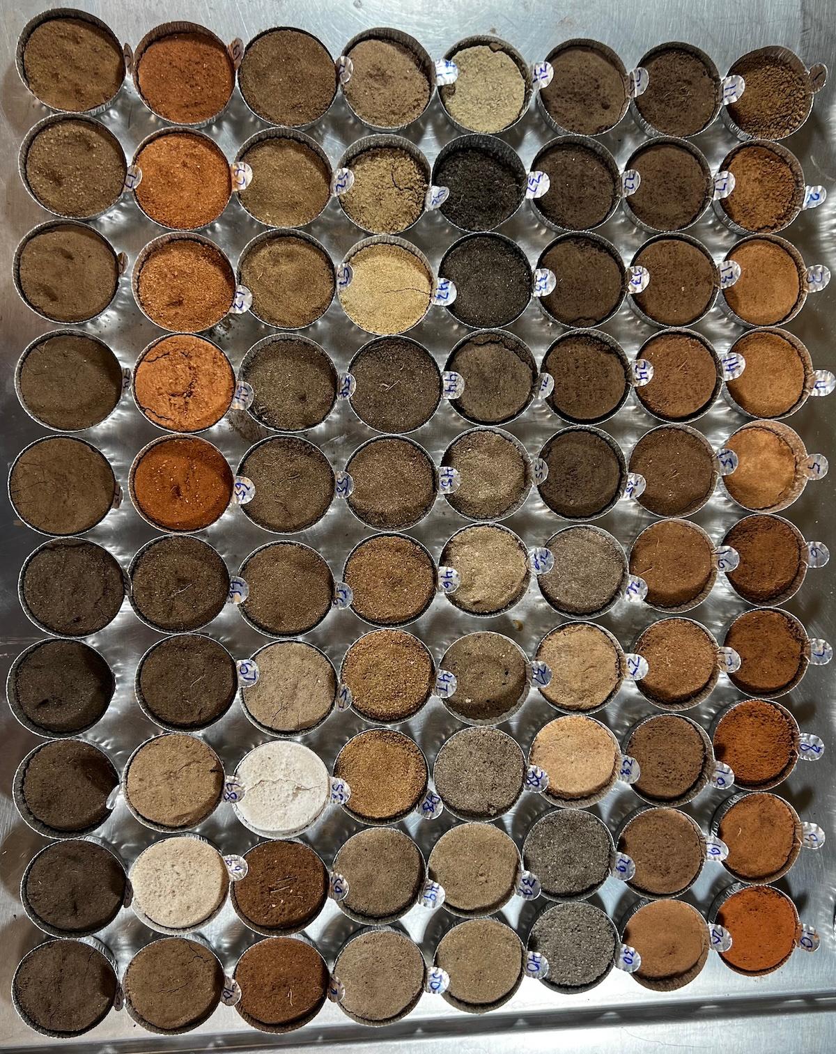 SOILS_Mason Rutgers.jpeg